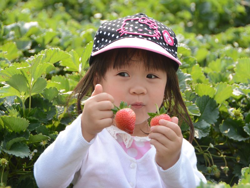 Dạy trẻ kĩ năng thích nghi với môi trường sống